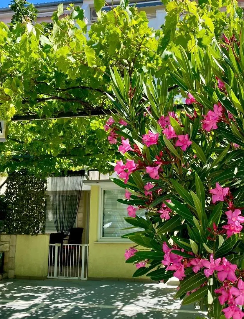 Skenderi Apartment Studio Crikvenica